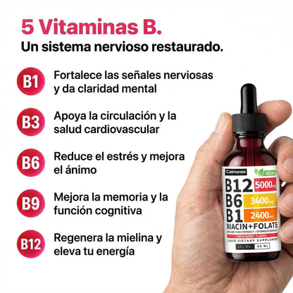 Calmansa Complejo B